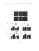 METHODS OF STIMULATING CELLULAR GROWTH, SYNAPTIC, REMODELING AND     CONSOLIDATION OF LONG-TERM MEMORY diagram and image