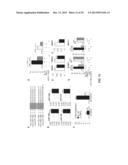 MICRORNAS AS NEW THERAPEUTIC TARGETS FOR THE PREVENTION AND/OR TREATMENT     OF RETINOPATHY diagram and image