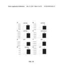 MICRORNAS AS NEW THERAPEUTIC TARGETS FOR THE PREVENTION AND/OR TREATMENT     OF RETINOPATHY diagram and image