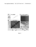 MICRORNAS AS NEW THERAPEUTIC TARGETS FOR THE PREVENTION AND/OR TREATMENT     OF RETINOPATHY diagram and image