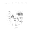 MICRORNAS AS NEW THERAPEUTIC TARGETS FOR THE PREVENTION AND/OR TREATMENT     OF RETINOPATHY diagram and image