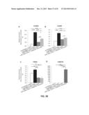 MICRORNAS AS NEW THERAPEUTIC TARGETS FOR THE PREVENTION AND/OR TREATMENT     OF RETINOPATHY diagram and image