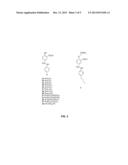 CLASS II HMG-COA REDUCTASE INHIBITORS AND METHODS OF USE diagram and image