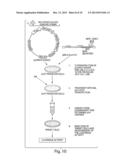 INHIBITORS OF VIRAL ENTRY INTO MAMMALIAN CELLS diagram and image