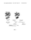 MELT PROCESSIBLE POLYUREAS AND POLYUREA-URETHANES, METHOD FOR THE     PRODUCTION THEREOF AND PRODUCTS MADE THEREFROM diagram and image