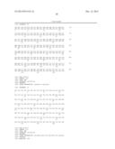 MEANS AND METHODS FOR PRODUCING HIGH AFFINITY ANTIBODIES diagram and image