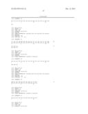 MEANS AND METHODS FOR PRODUCING HIGH AFFINITY ANTIBODIES diagram and image