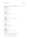 MEANS AND METHODS FOR PRODUCING HIGH AFFINITY ANTIBODIES diagram and image