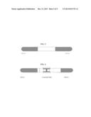 INTERVENTIONAL GUIDEWIRE diagram and image