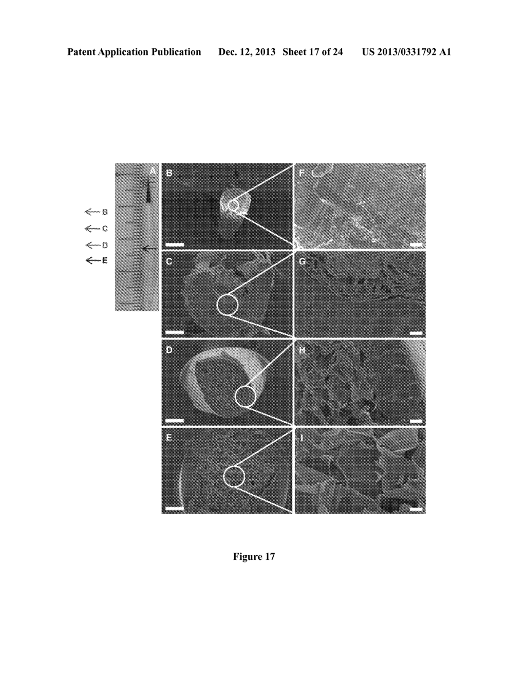 DEVICE AND USES THEREOF - diagram, schematic, and image 18