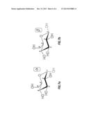 SELF-DEGRADING IONICALLY CROSS-LINKED BIOPOLYMER COMPOSITION FOR WELL     TREATMENT diagram and image