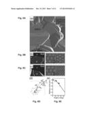 Monolayer and/or Few-Layer Graphene on Metal or Metal-Coated Substrates diagram and image