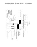 NUCLEAR MAGNETIC RESONANCE PROBE HEAD AND METHOD WITH MULTI-FUNCTIONAL     SAMPLE ROTATION diagram and image