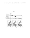 RESONANCE IMAGING APPARATUS AND DIFFUSION WEIGHTED IMAGE ACQUIRING METHOD     THEREOF diagram and image