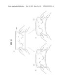 FLEXIBLE PORTABLE DEVICE diagram and image