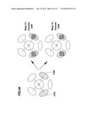 System With Multiple Scattered Light Collectors diagram and image