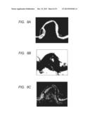 DECOMPOSITION APPARATUS AND METHOD FOR REFINING COMPOSITION OF MIXED     PIXELS IN REMOTE SENSING IMAGES diagram and image