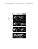 DEOXYCYTIDINE KINASE BINDING COMPOUNDS diagram and image