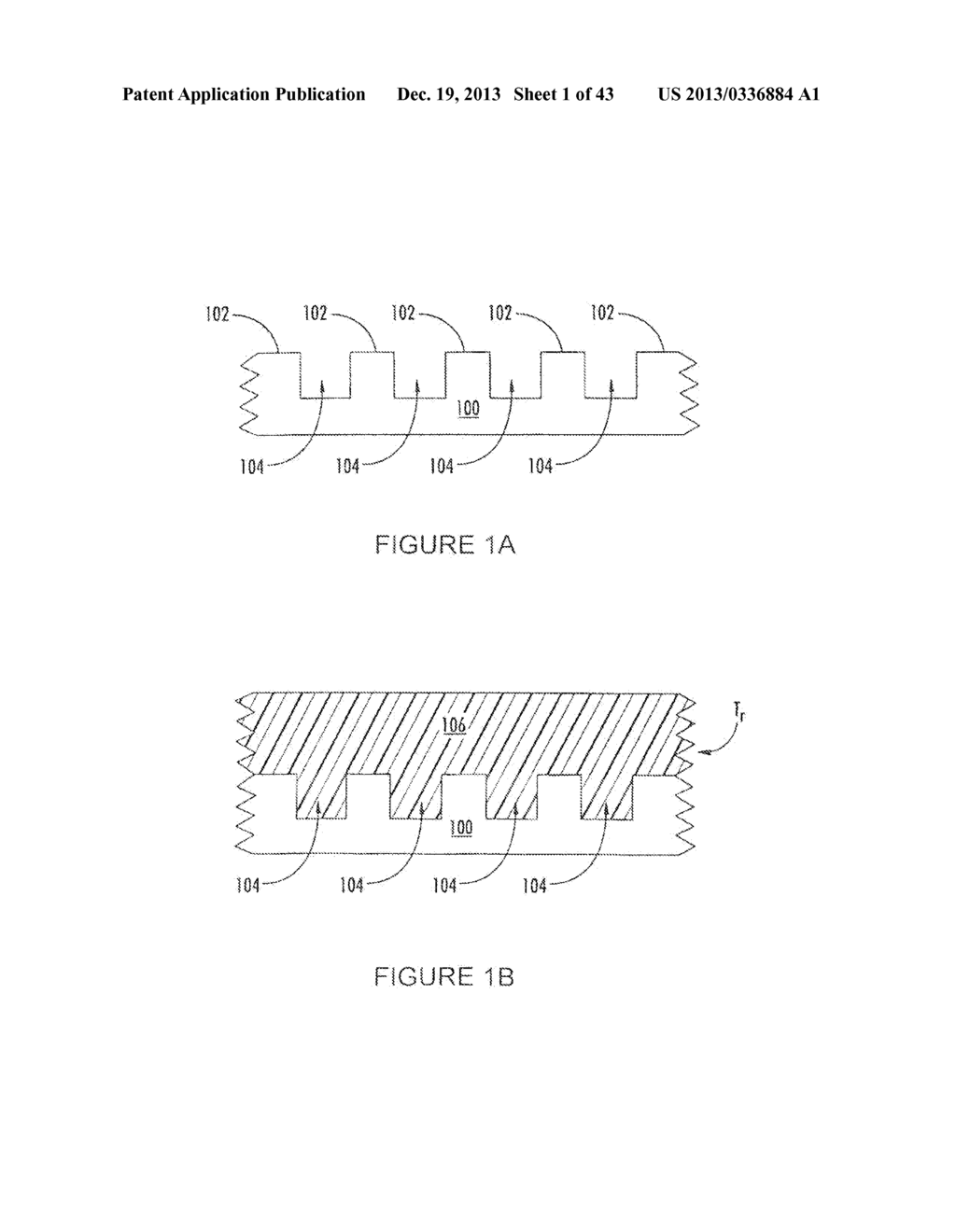 NANOPARTICLE FABRICATION METHODS, SYSTEMS, AND MATERIALS FOR FABRICATING     ARTIFICIAL RED BLOOD CELLS - diagram, schematic, and image 02