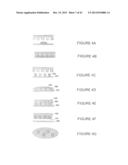 NANOPARTICLE FABRICATION METHODS, SYSTEMS, AND MATERIALS FOR FABRICATING     ARTIFICIAL RED BLOOD CELLS diagram and image