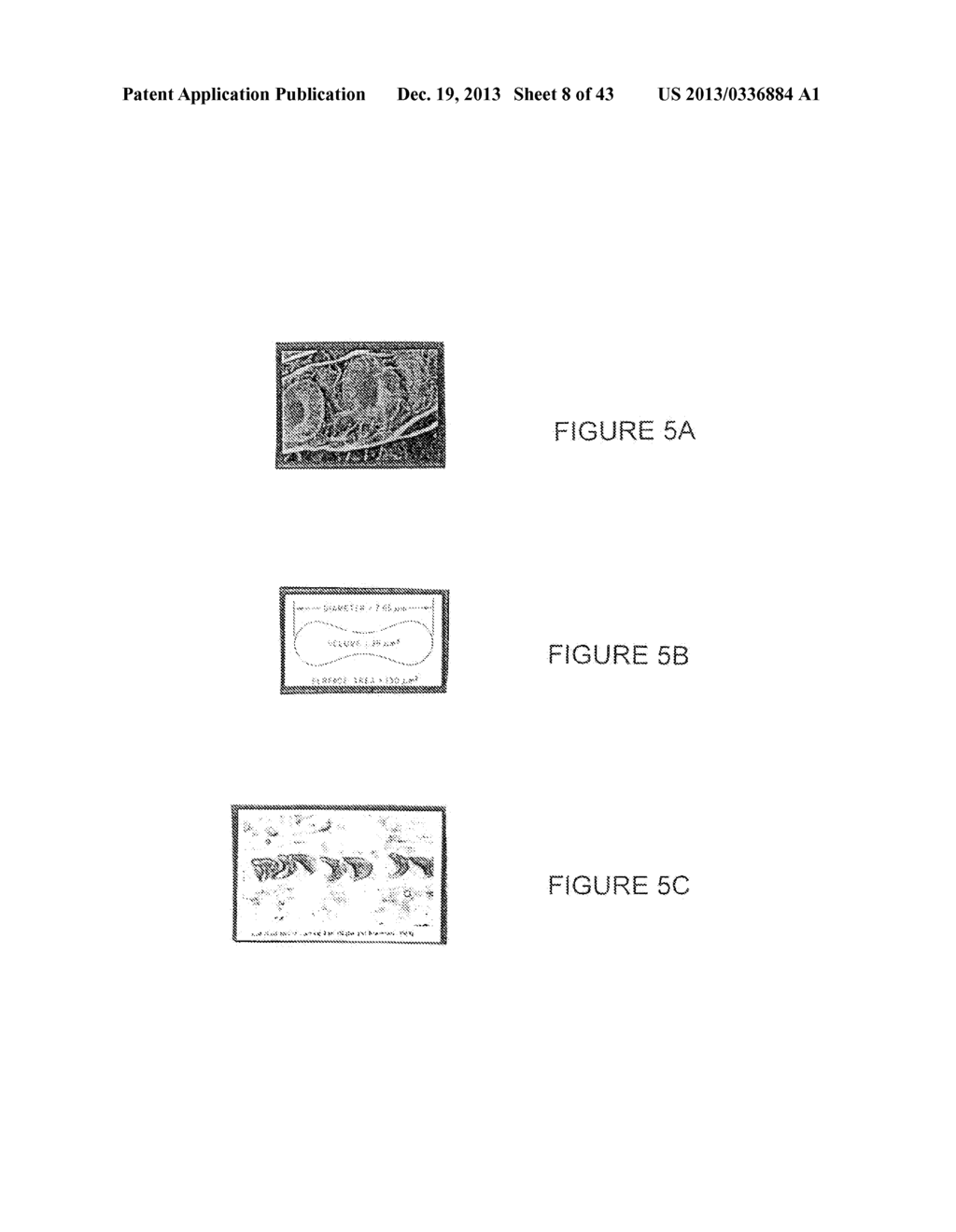 NANOPARTICLE FABRICATION METHODS, SYSTEMS, AND MATERIALS FOR FABRICATING     ARTIFICIAL RED BLOOD CELLS - diagram, schematic, and image 09