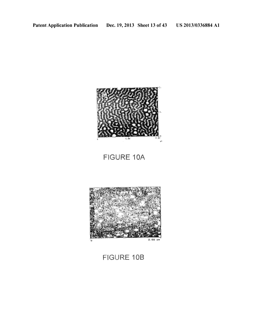 NANOPARTICLE FABRICATION METHODS, SYSTEMS, AND MATERIALS FOR FABRICATING     ARTIFICIAL RED BLOOD CELLS - diagram, schematic, and image 14