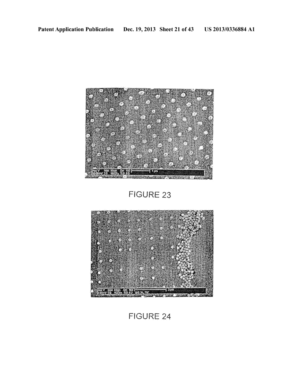 NANOPARTICLE FABRICATION METHODS, SYSTEMS, AND MATERIALS FOR FABRICATING     ARTIFICIAL RED BLOOD CELLS - diagram, schematic, and image 22