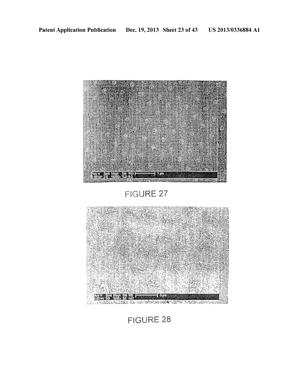 NANOPARTICLE FABRICATION METHODS, SYSTEMS, AND MATERIALS FOR FABRICATING     ARTIFICIAL RED BLOOD CELLS - diagram, schematic, and image 24