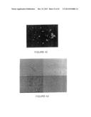 NANOPARTICLE FABRICATION METHODS, SYSTEMS, AND MATERIALS FOR FABRICATING     ARTIFICIAL RED BLOOD CELLS diagram and image