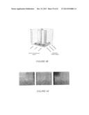 NANOPARTICLE FABRICATION METHODS, SYSTEMS, AND MATERIALS FOR FABRICATING     ARTIFICIAL RED BLOOD CELLS diagram and image