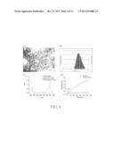 NANOPARTICLE AND METHOD FOR DETECTING OR TREATING A TUMOR USING THE SAME diagram and image