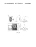 NANOPARTICLE AND METHOD FOR DETECTING OR TREATING A TUMOR USING THE SAME diagram and image