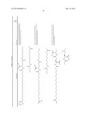 Exedin-4 Peptide Analogues diagram and image