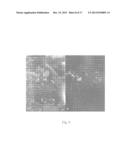 FOLATE TARGETED ENHANCED TUMOR AND FOLATE RECEPTOR POSITIVE TISSUE OPTICAL     IMAGING TECHNOLOGY diagram and image