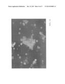 FOLATE TARGETED ENHANCED TUMOR AND FOLATE RECEPTOR POSITIVE TISSUE OPTICAL     IMAGING TECHNOLOGY diagram and image