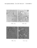 FOLATE TARGETED ENHANCED TUMOR AND FOLATE RECEPTOR POSITIVE TISSUE OPTICAL     IMAGING TECHNOLOGY diagram and image