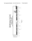 PHARMACEUTICAL FORMULATION COMPRISING A BIOPHARMACEUTICAL DRUG diagram and image