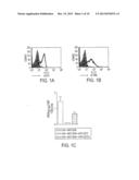 HUMAN IMMUNE THERAPIES USING A CD27 AGONIST ALONE OR IN COMBINATION WITH     OTHER IMMUNE MODULATORS diagram and image