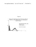 SINGLE-CHAIN MULTIVALENT BINDING PROTEINS WITH EFFECTOR FUNCTION diagram and image