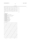 SINGLE-CHAIN MULTIVALENT BINDING PROTEINS WITH EFFECTOR FUNCTION diagram and image