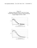 SINGLE-CHAIN MULTIVALENT BINDING PROTEINS WITH EFFECTOR FUNCTION diagram and image