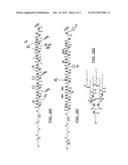 NANOPARTICLES FOR PROVIDING IMMUNE RESPONSES AGAINST INFECTIOUS AGENTS diagram and image