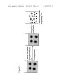 NOVEL FORMULATIONS AND METHODS diagram and image