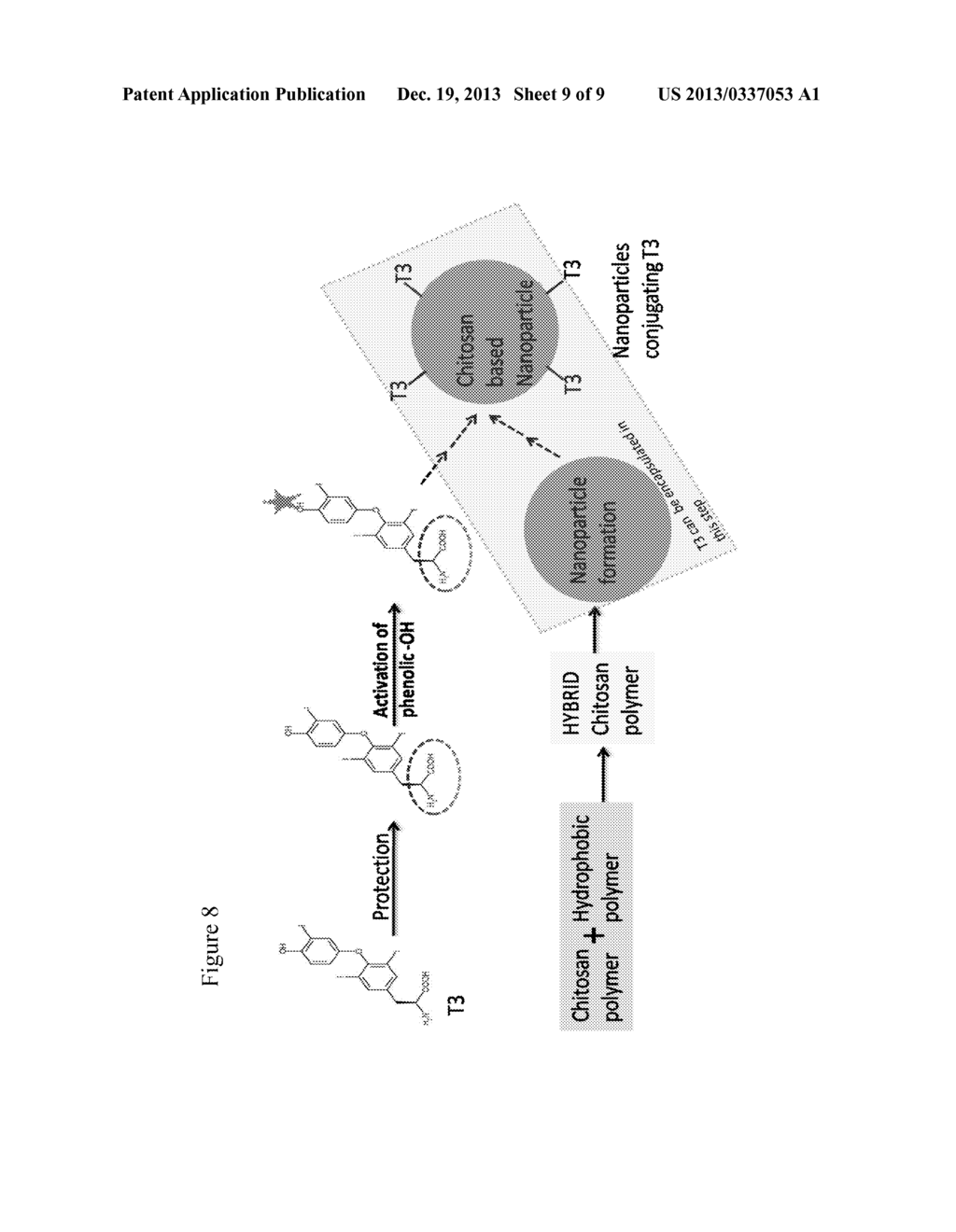 NOVEL FORMULATIONS AND METHODS - diagram, schematic, and image 10