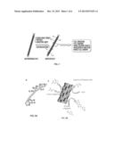 M13 Bacteriophage as a Chemoaddressable Nanoparticle for Biological and     Medical Applications diagram and image