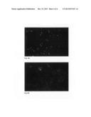 PROCESS FOR DETECTING CELLS FROM A SAMPLE diagram and image