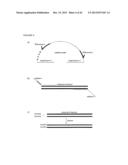 METHODS AND COMPOSITIONS FOR EVALUATING GENETIC MARKERS diagram and image