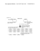 METHODS AND COMPOSITIONS FOR EVALUATING GENETIC MARKERS diagram and image