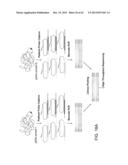 METHODS AND COMPOSITIONS FOR EVALUATING GENETIC MARKERS diagram and image