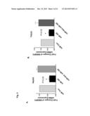 A METHOD OF ENHANCING MIR-185 EXPRESSION TO REDUCE LOW DENSITY     LIPOPROTEIN/CHOLESTEROL ACCUMULATION IN A CELL diagram and image